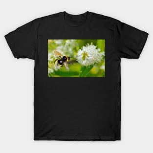 Flight Of The Bee T-Shirt